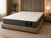 SpringEase Comfort